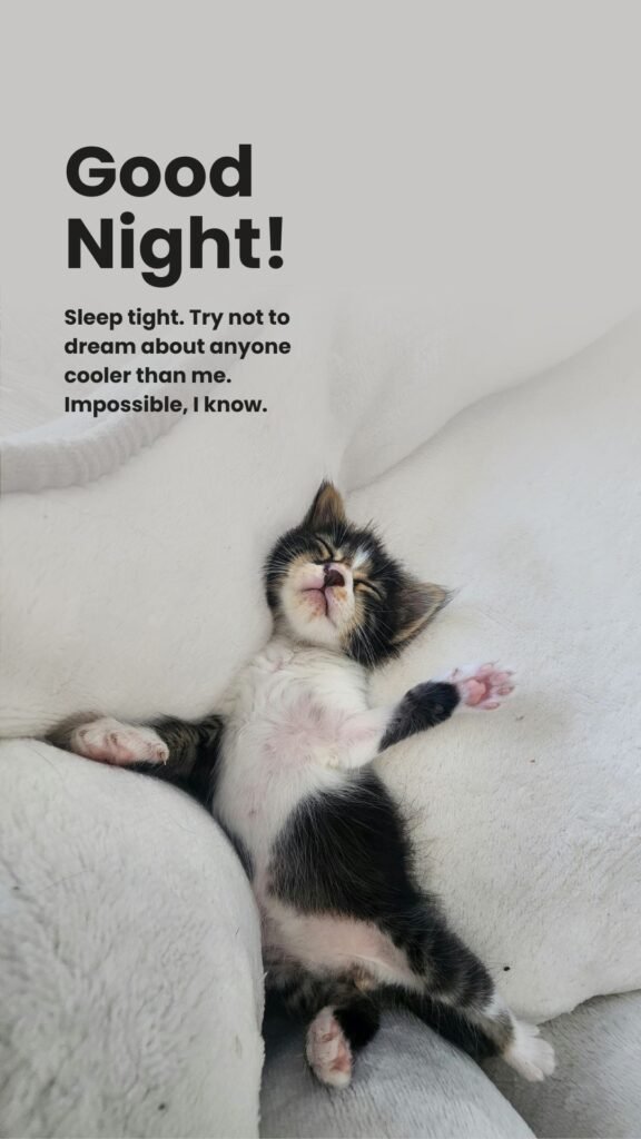 Good Night Messages to Make Her Smile